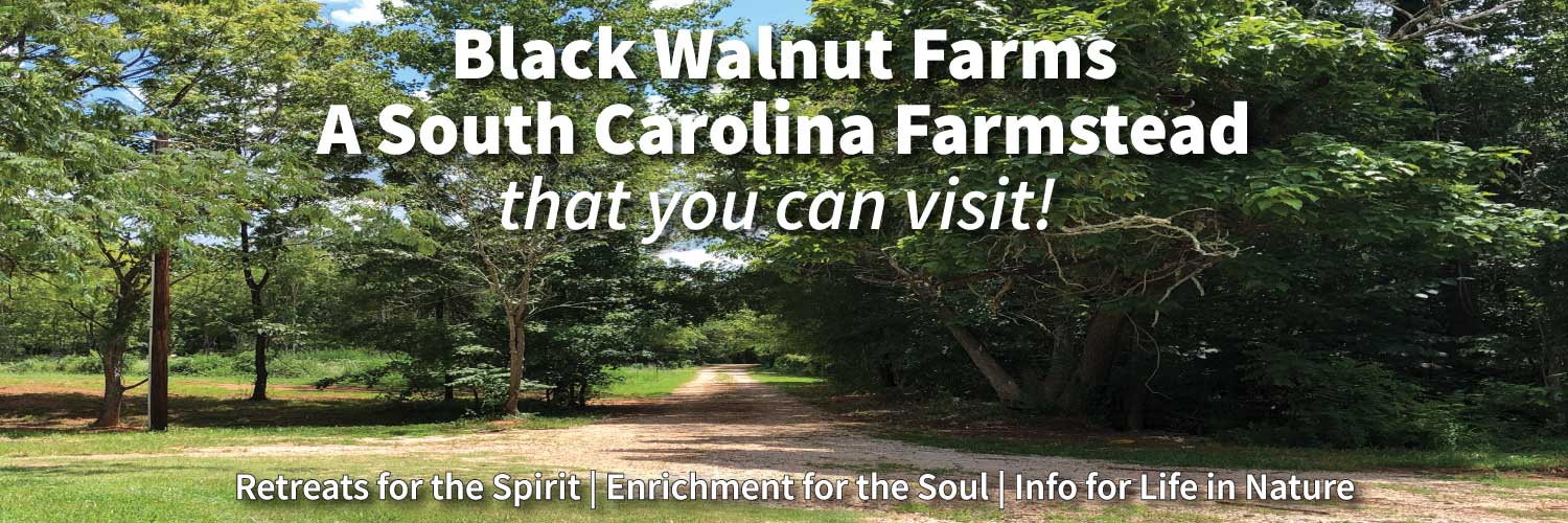Black Walnut Farms a South Carolina Farmstead that you can visit!