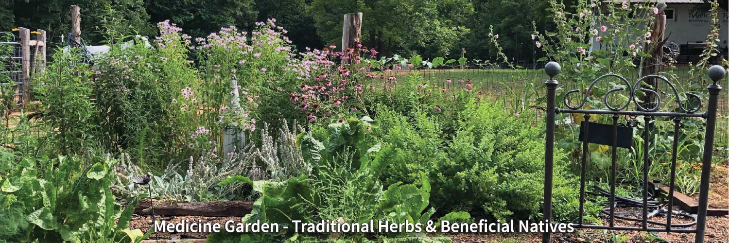 Medicine Garden - Traditional Herbs & Beneficial Natives
