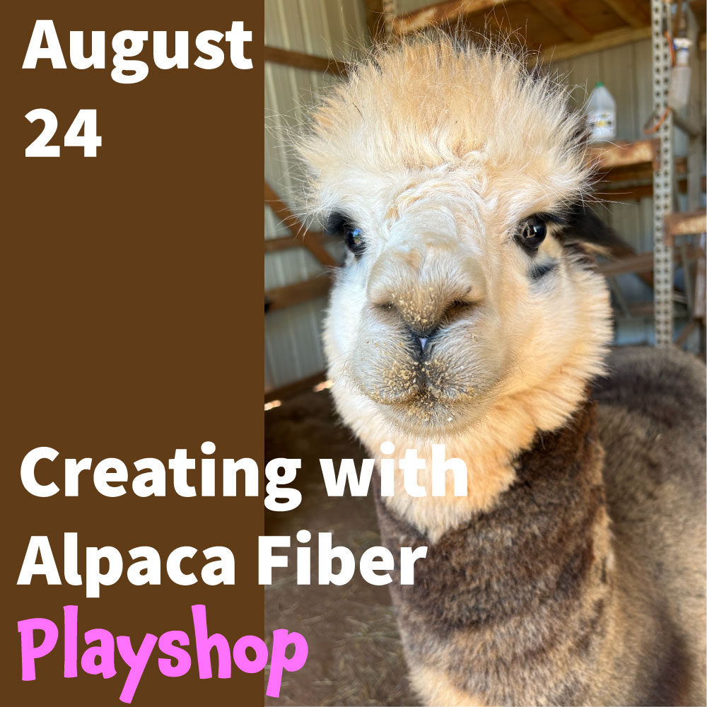 Creating with Alpaca Fiber Playshop
