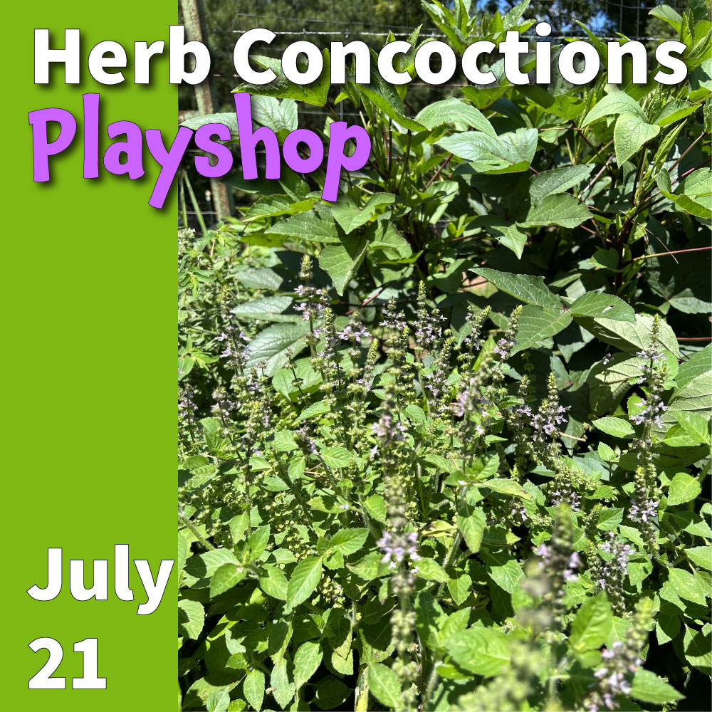 Herb Concoctions Playshop